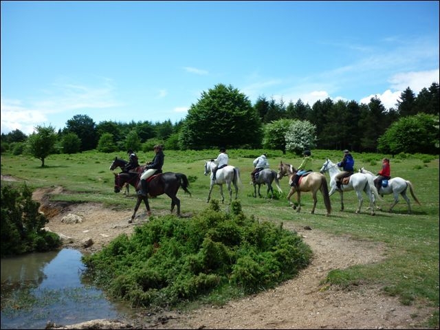  Routes to horse 